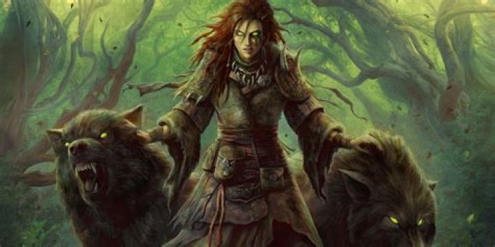 Can a Druid become a werewolf?