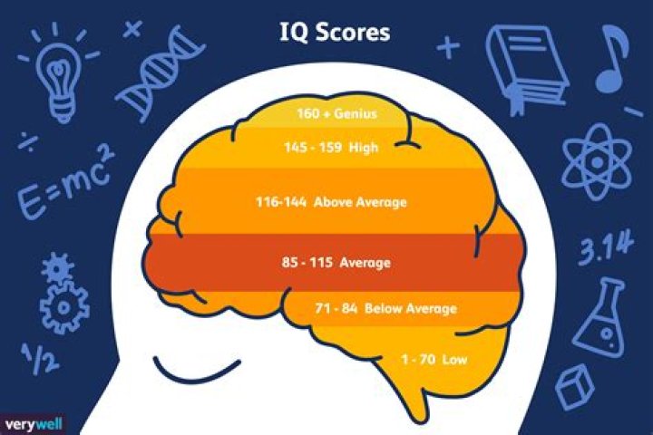 Can a normal person be a genius?