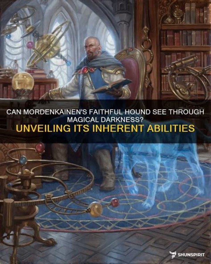 Can Blind Fighting see through magical darkness?