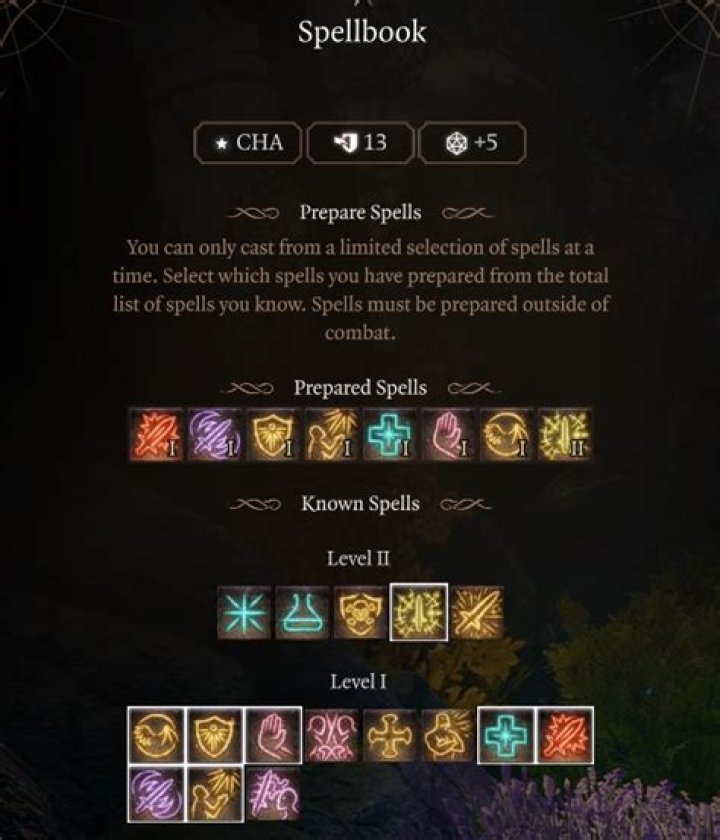 Do Paladin spells require components?