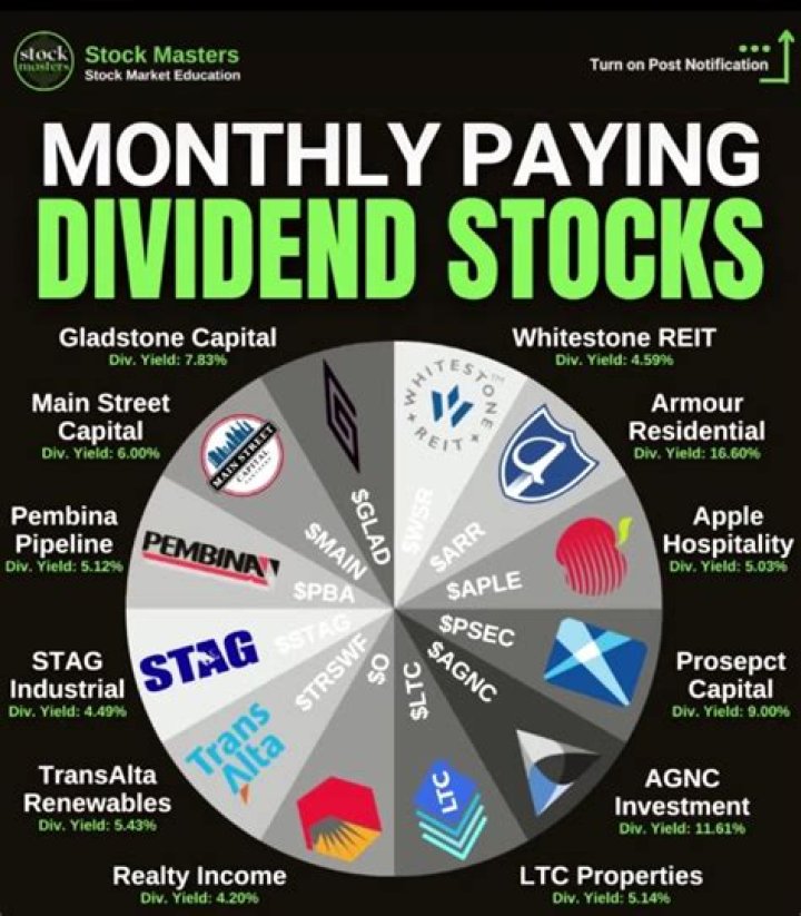 Do stocks pay you for owning them?