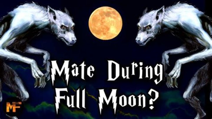 Does a werewolf come out on a full moon?