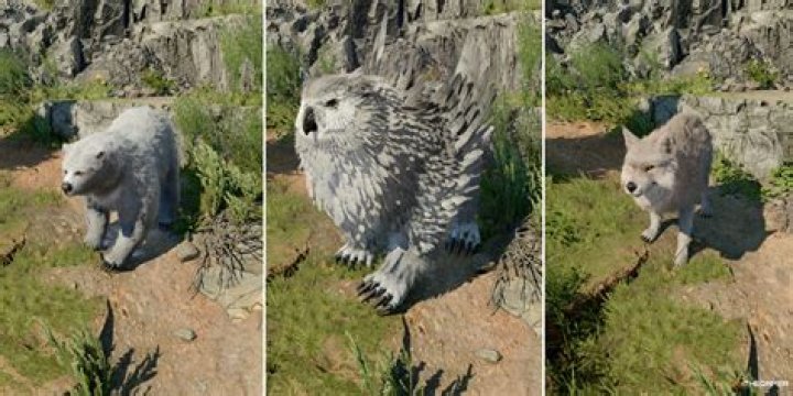 Does wild shape change your creature type?