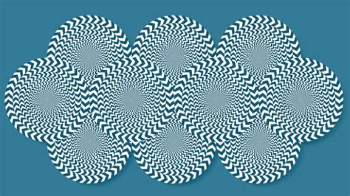 How do we see illusions?