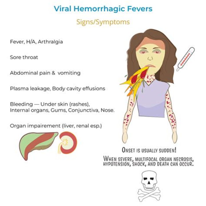 How do you recover from a hemorrhagic fever?