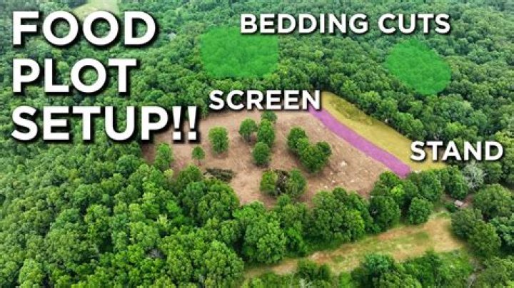 How much seed do I need for a 1 acre food plot?