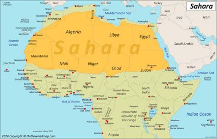 Is buying from Saharah worth it?