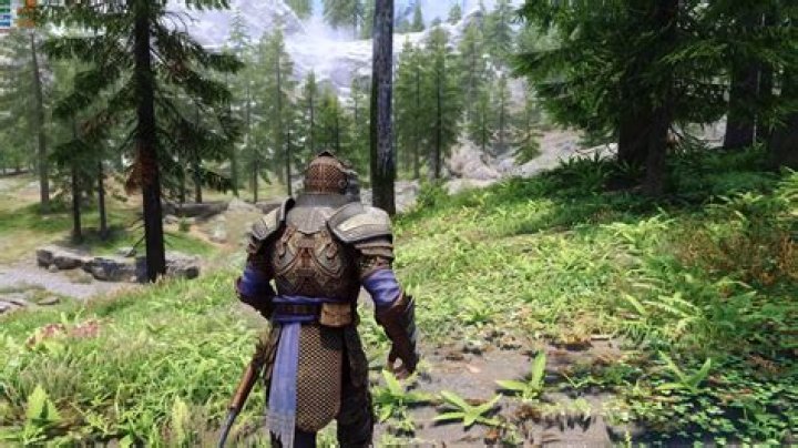 Is there a mod to change your race in Skyrim?