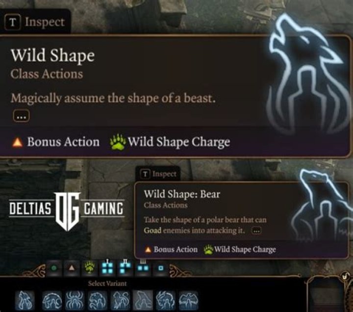 Is Wild shape an action?