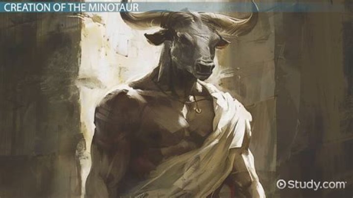 What are female Minotaur called?