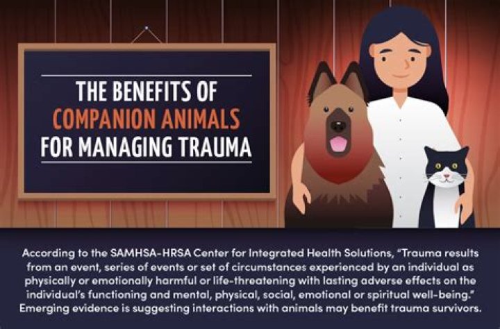 What are the benefits of companion animals?
