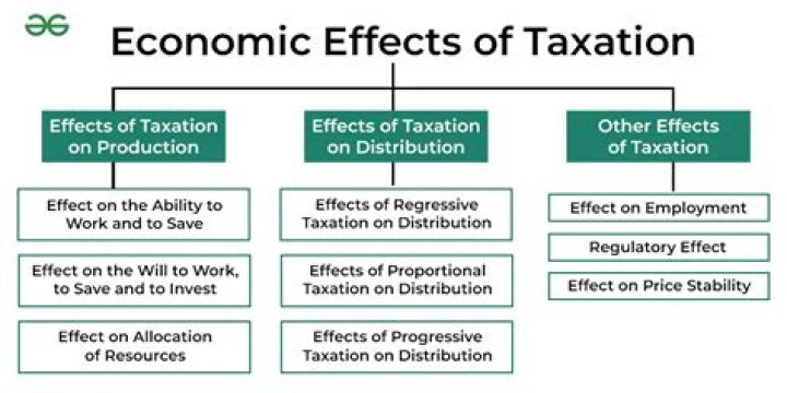 What are the effects of taxation on resources?