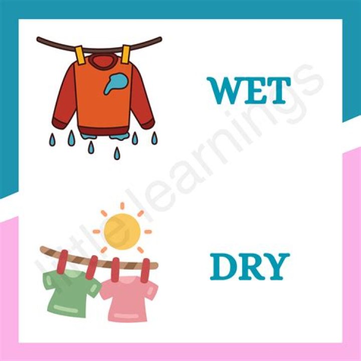 What are wet rations?
