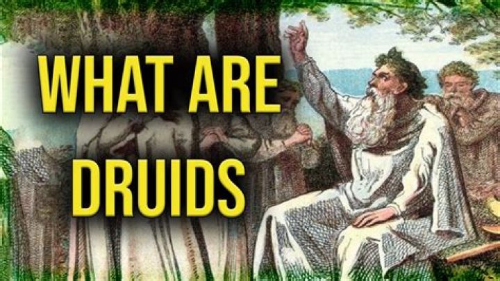 What do druids do in Pathfinder?