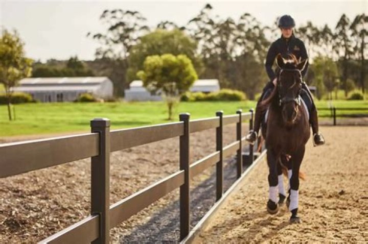 What does every horse owner need?