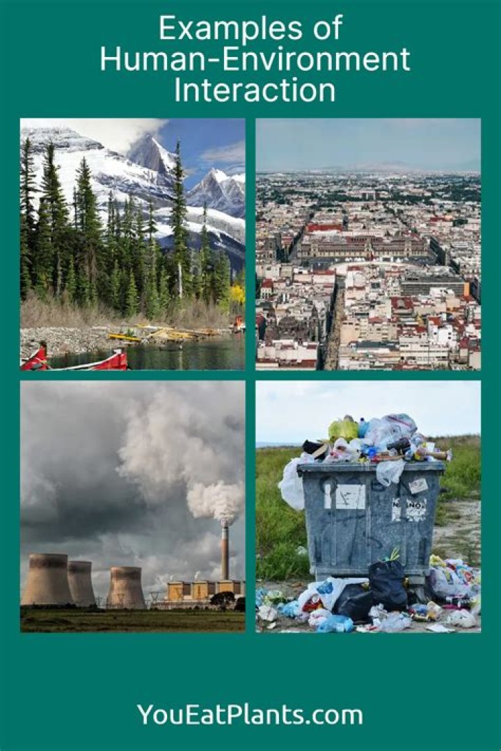 What is an example of interaction with the environment?
