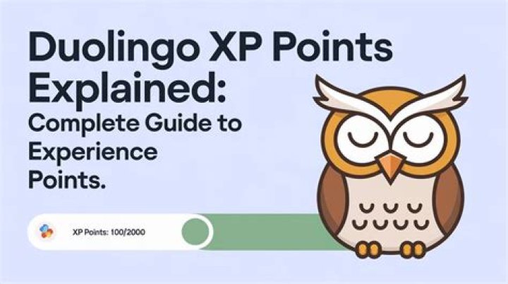 What is the use of XP points?